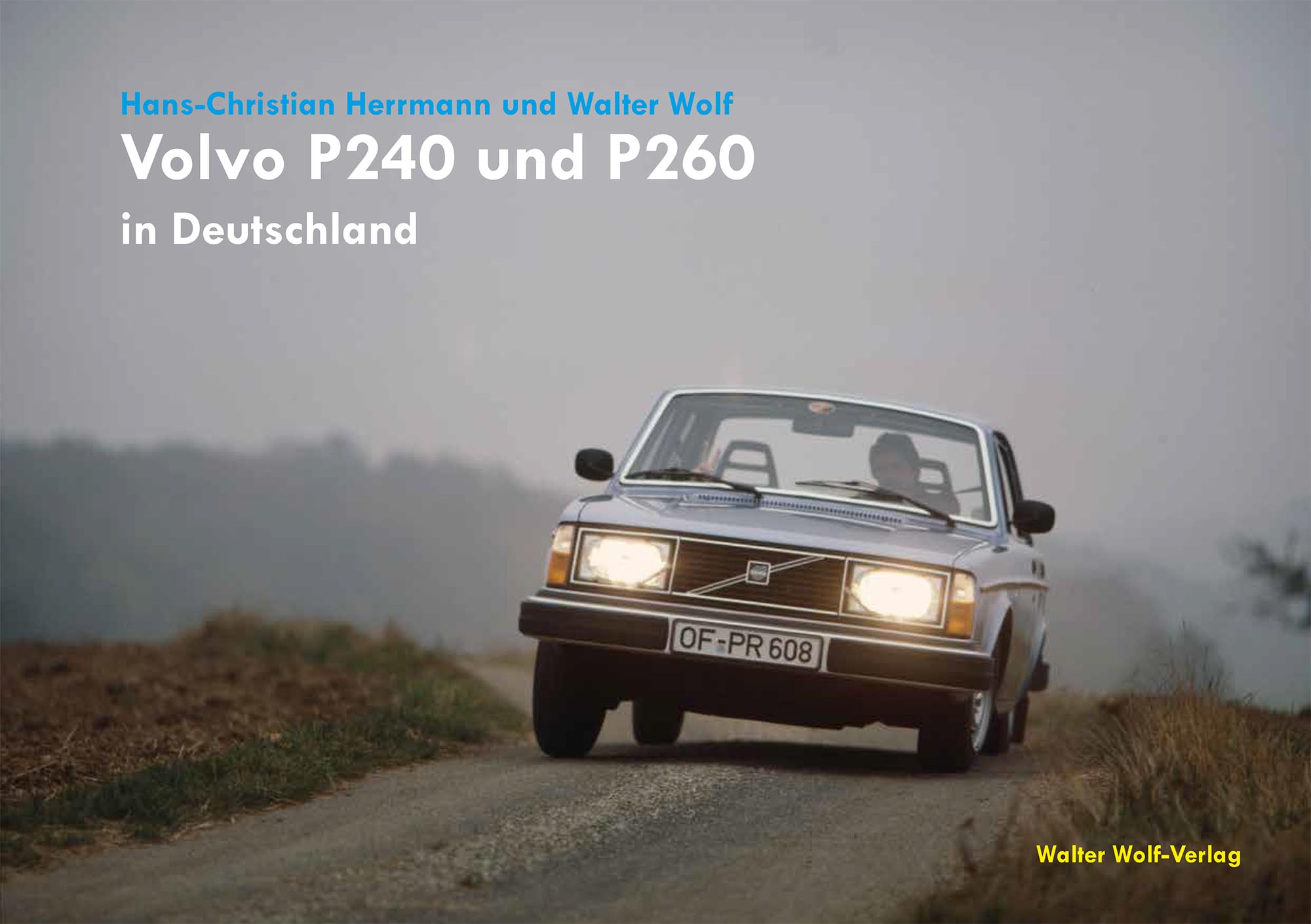 Volvo 240_260_in_D